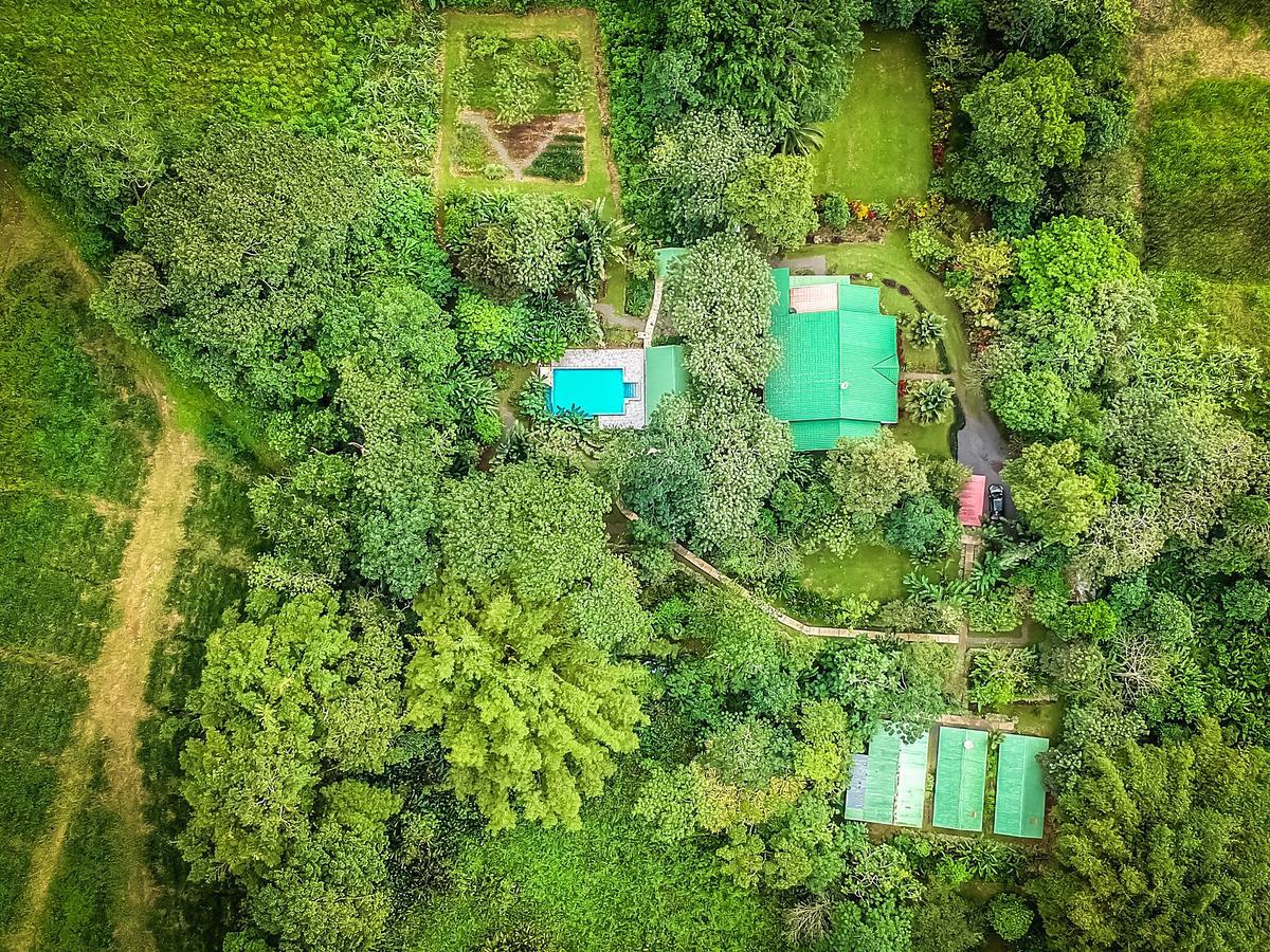Tropical Paradise Bungalows Pital  Buitenkant foto